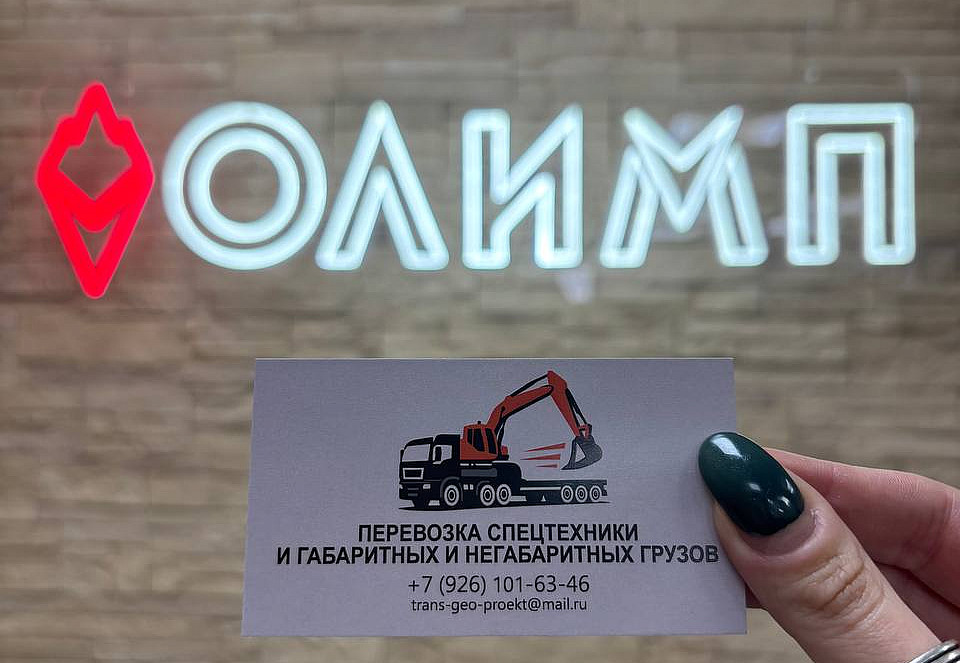 Наше портфолио - Визитки для компании &quot;Трансгеопроект&quot;